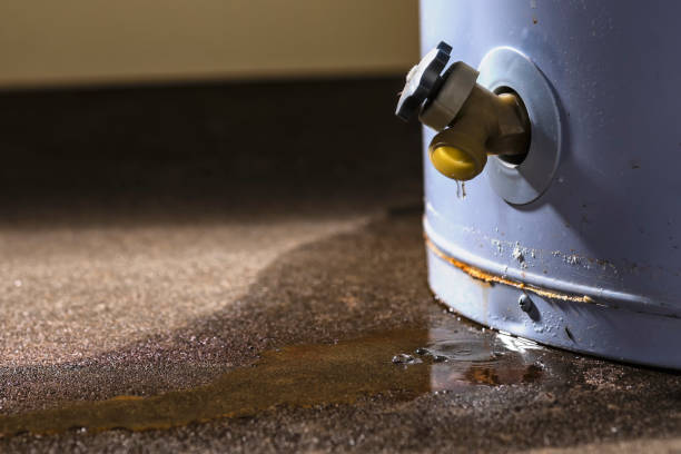 Best Basement water damage restoration  in Chino Valley, AZ