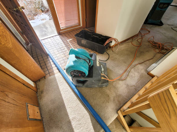 Best Local water damage restoration  in Chino Valley, AZ