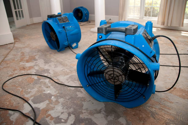 Best Flood restoration services  in Chino Valley, AZ