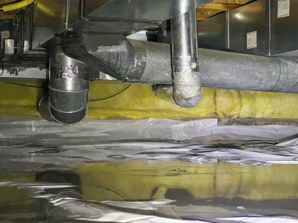Best Professional water damage repair  in Chino Valley, AZ