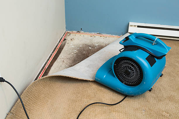 Best Basement water damage restoration  in Chino Valley, AZ
